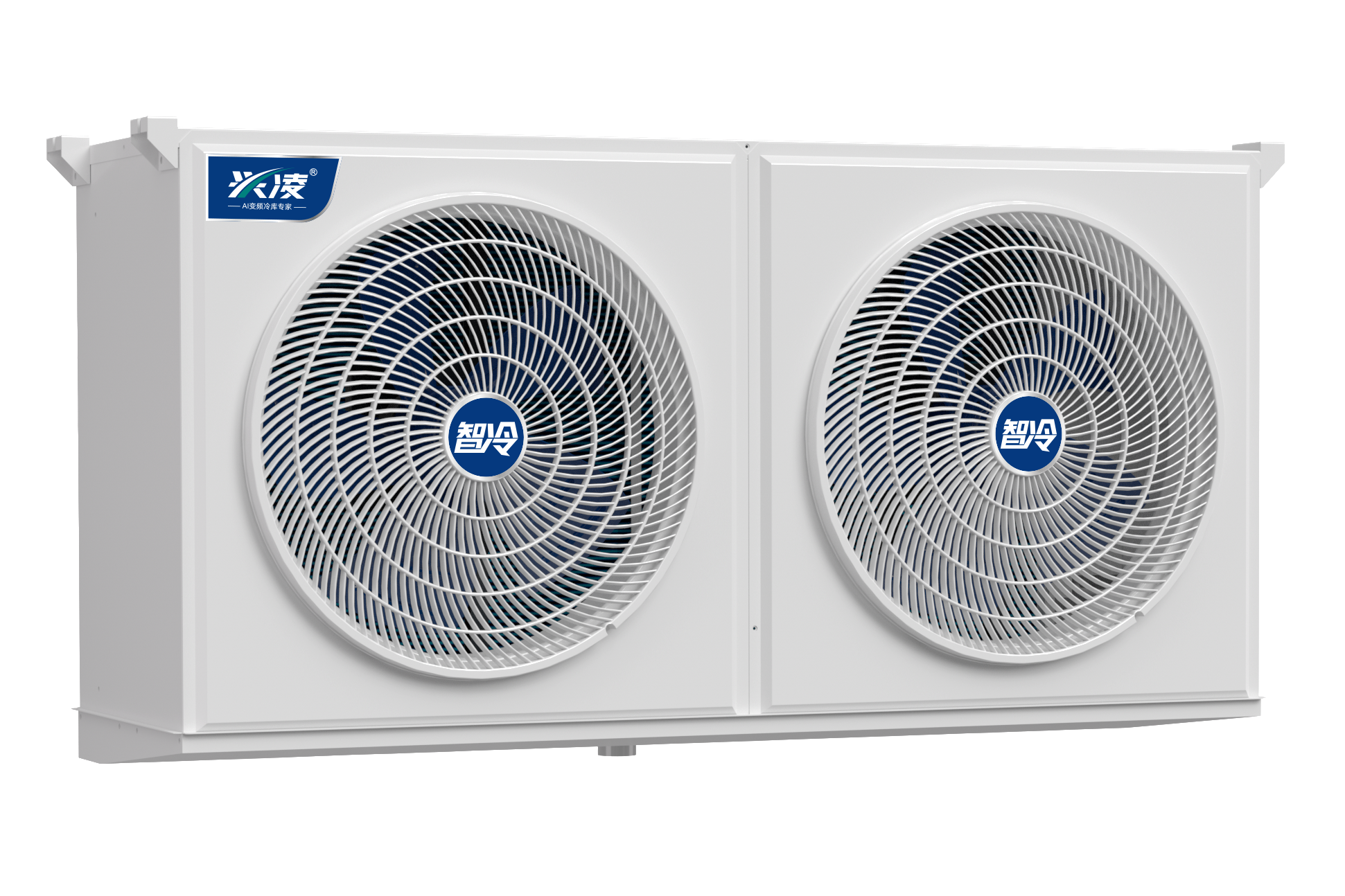 果蔬保鲜冷库设备：锁住鲜嫩口感，赋能农业价值