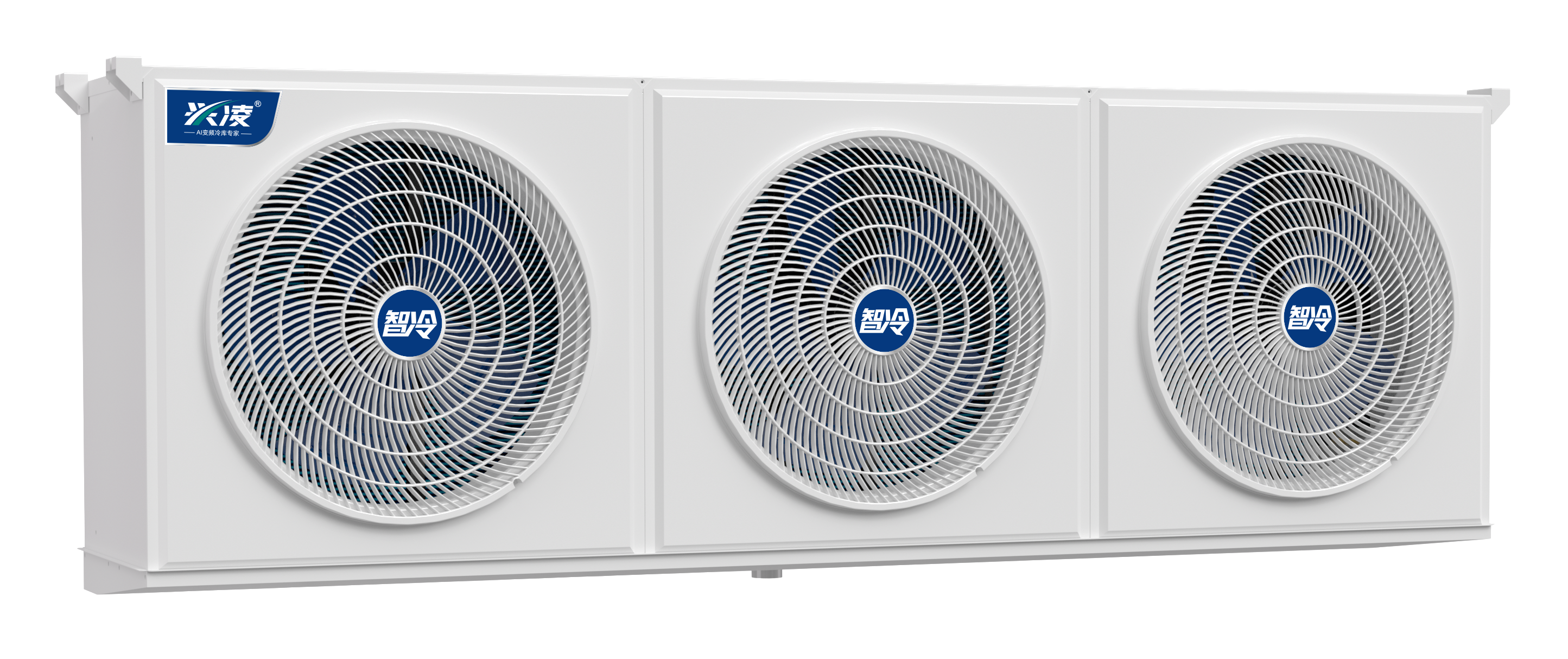  果蔬保鲜冷库设备：锁住鲜嫩口感，赋能农业价值