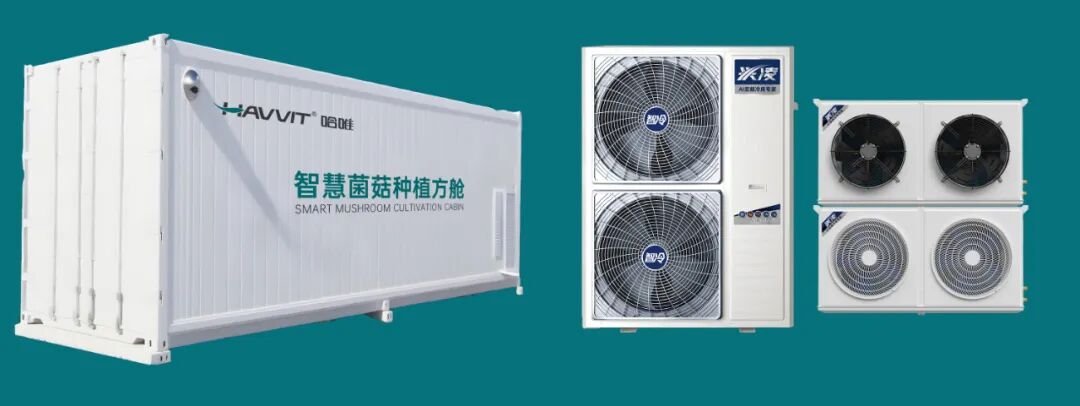 韧性生长 奠基未来 | 哈唯2025的确定性回答