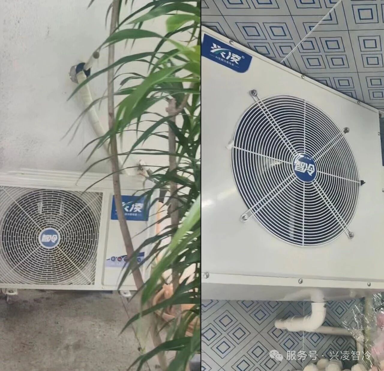 兴凌智冷 | 花店专用变频冷库机组:静音省电,锁鲜更持久