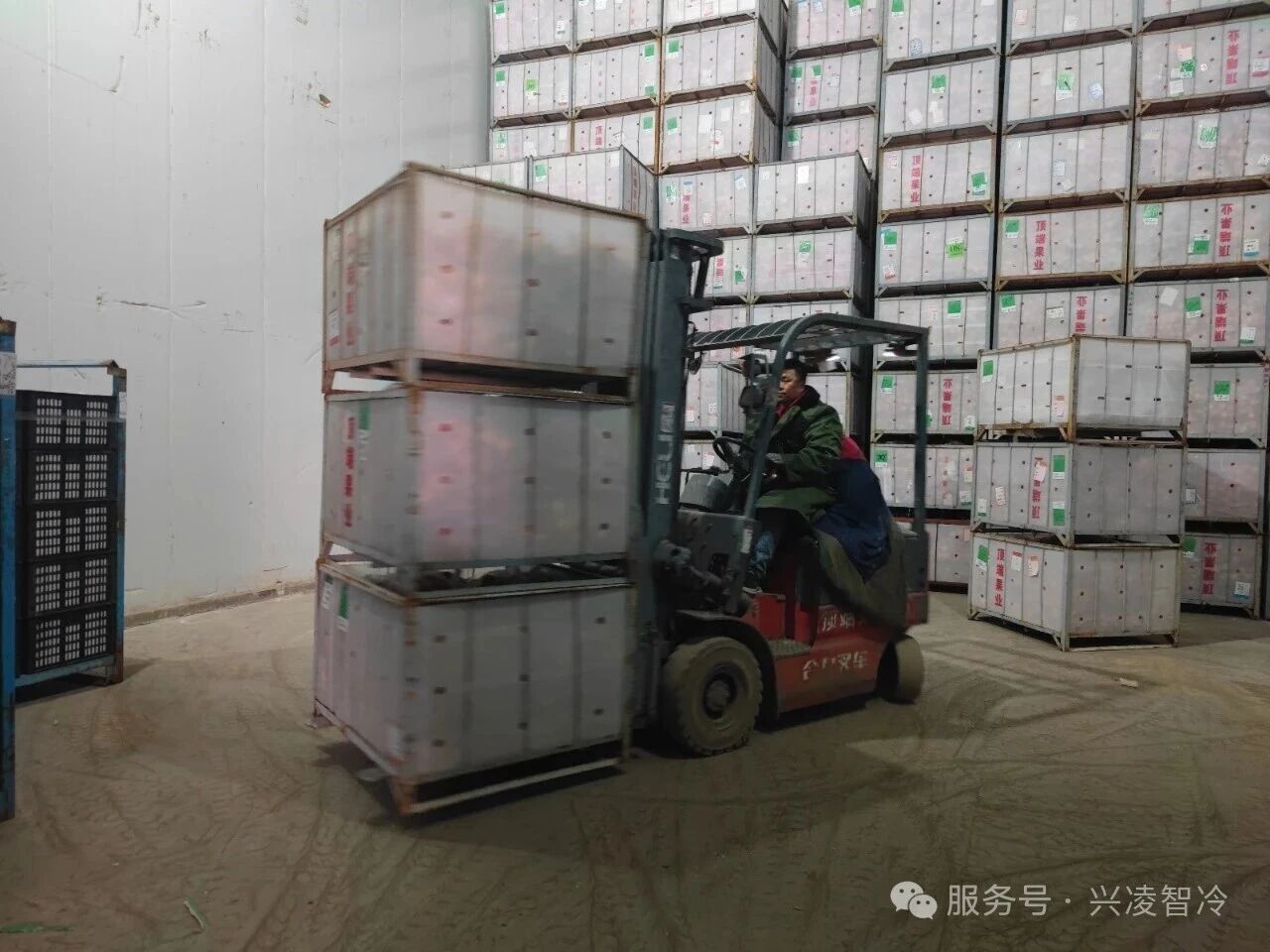 1000万吨苹果集中入库：冷库如何顶住满负荷运行？